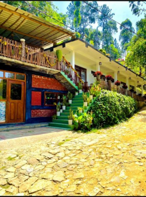 Blissful Haven